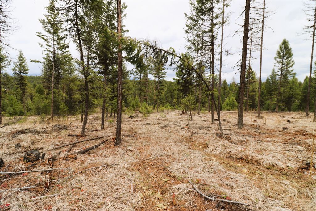 Nhn 120 Acres South, Eureka, MT 59917 photo 49