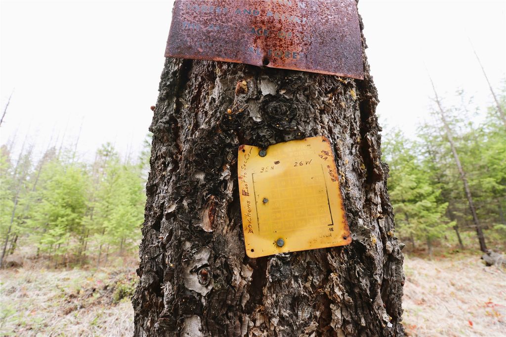 Nhn 120 Acres South, Eureka, MT 59917 photo 50