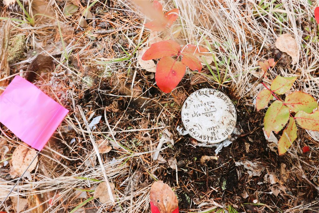 Nhn 120 Acres South, Eureka, MT 59917 photo 52