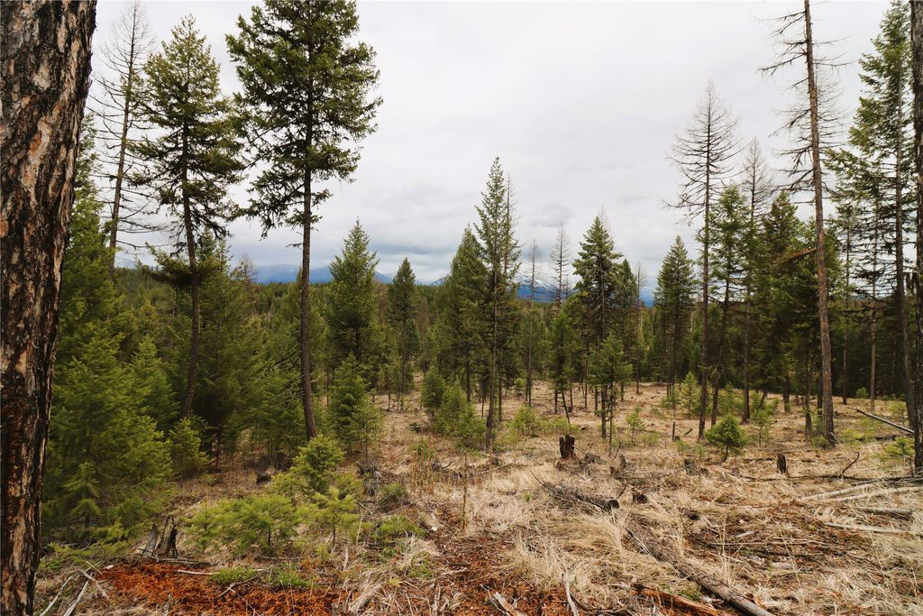 Nhn 120 Acres South, Eureka, MT 59917 photo 53