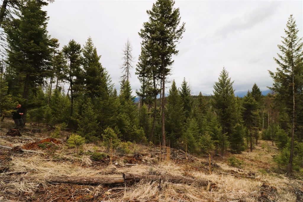 Nhn 120 Acres South, Eureka, MT 59917 photo 54