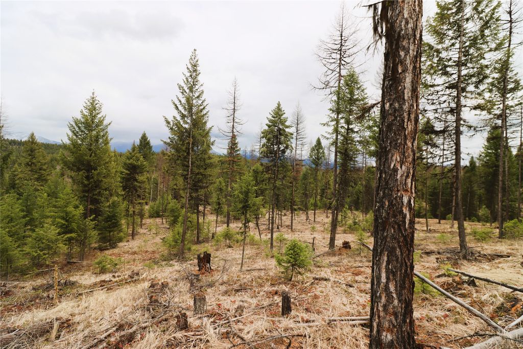 Nhn 120 Acres South, Eureka, MT 59917 photo 55