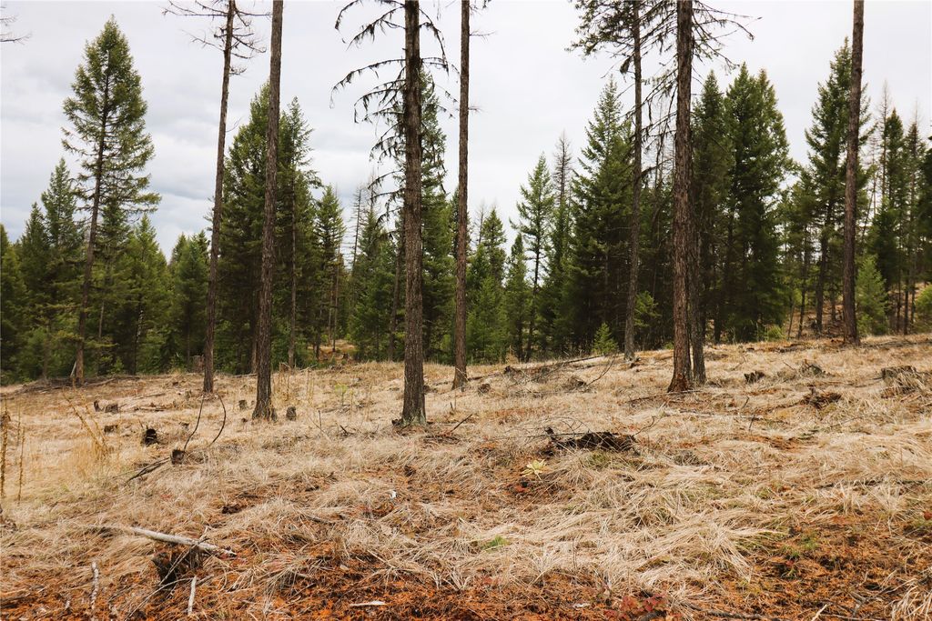 Nhn 120 Acres South, Eureka, MT 59917 photo 56