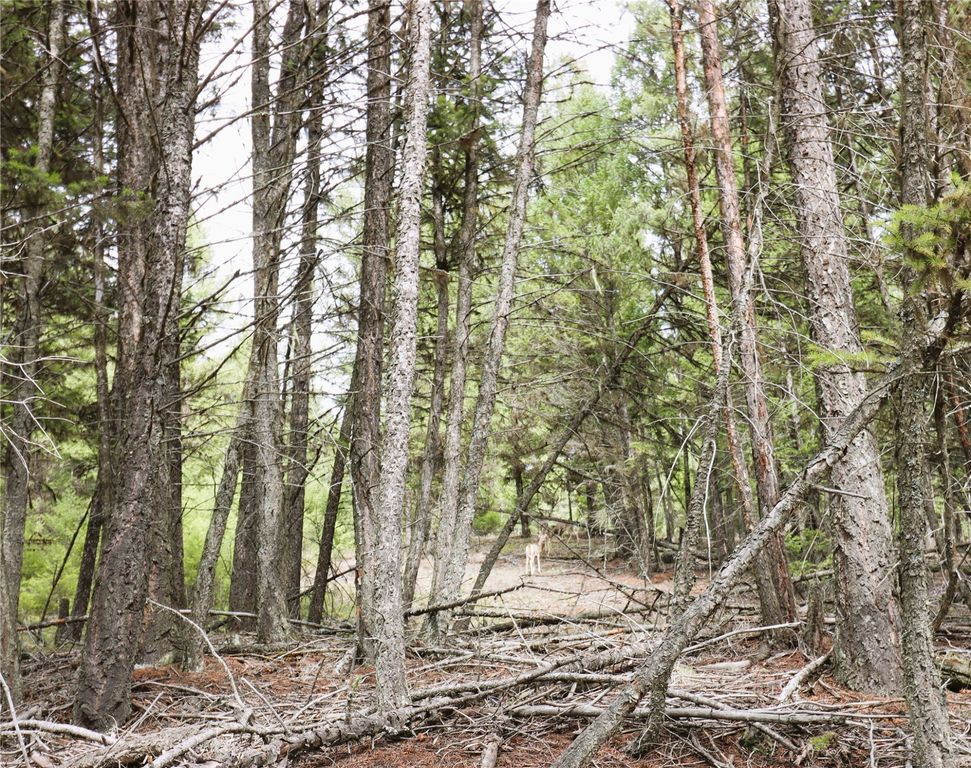 Nhn 120 Acres South, Eureka, MT 59917 photo 57