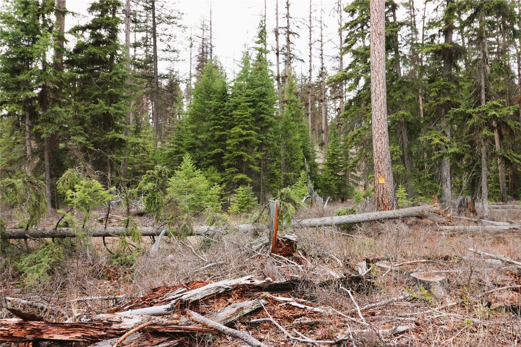 Nhn 120 Acres South, Eureka, MT 59917 photo 58