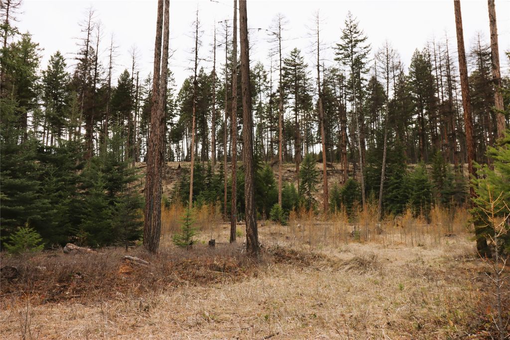 Nhn 120 Acres South, Eureka, MT 59917 photo 59