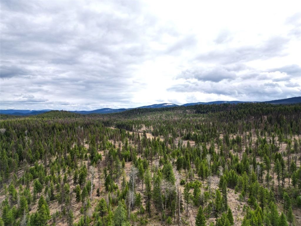 Nhn 120 Acres South, Eureka, MT 59917 photo 6