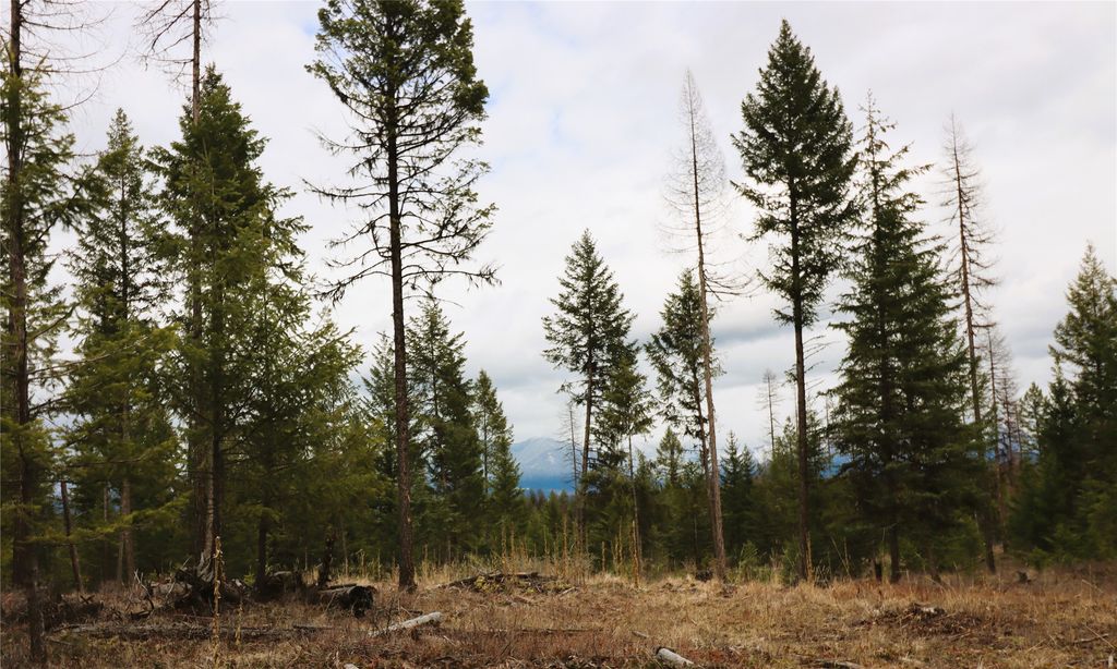 Nhn 120 Acres South, Eureka, MT 59917 photo 60