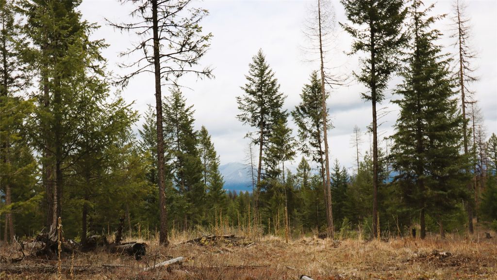 Nhn 120 Acres South, Eureka, MT 59917 photo 61