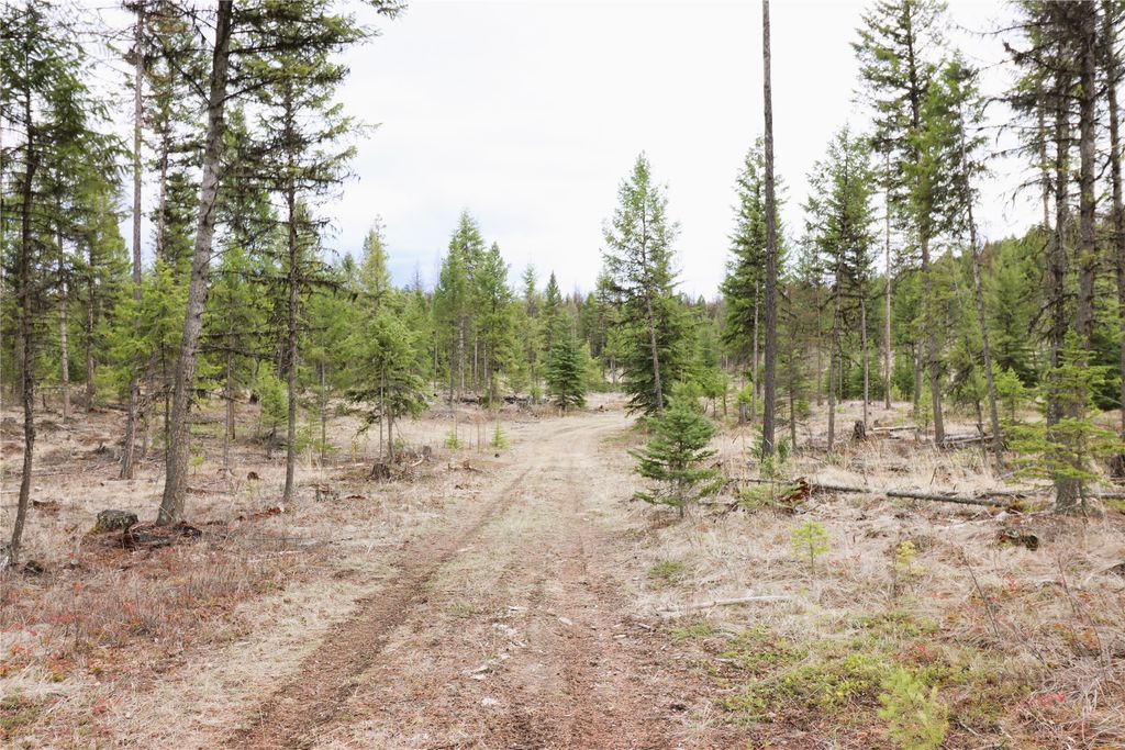 Nhn 120 Acres South, Eureka, MT 59917 photo 62