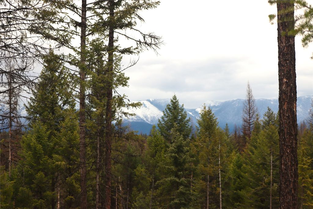 Nhn 120 Acres South, Eureka, MT 59917 photo 64