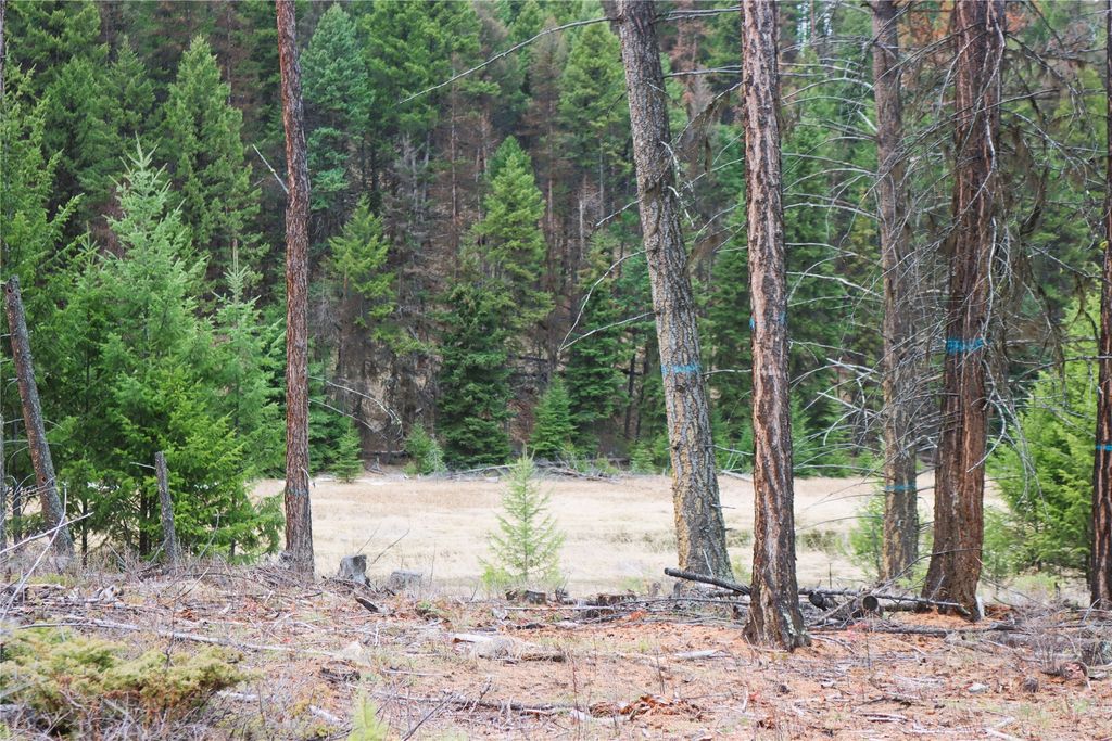 Nhn 120 Acres South, Eureka, MT 59917 photo 66