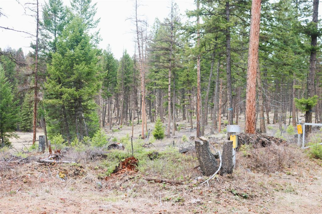 Nhn 120 Acres South, Eureka, MT 59917 photo 67
