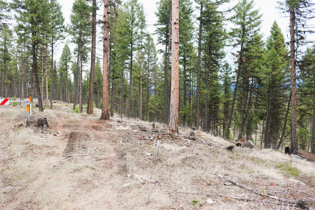 Nhn 120 Acres South, Eureka, MT 59917 photo 68