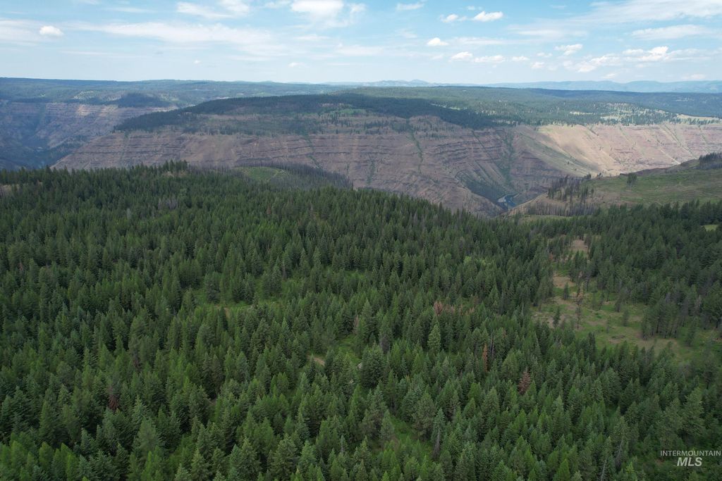 TBD Sickfoot Road, Wallowa, OR 97885 photo 11