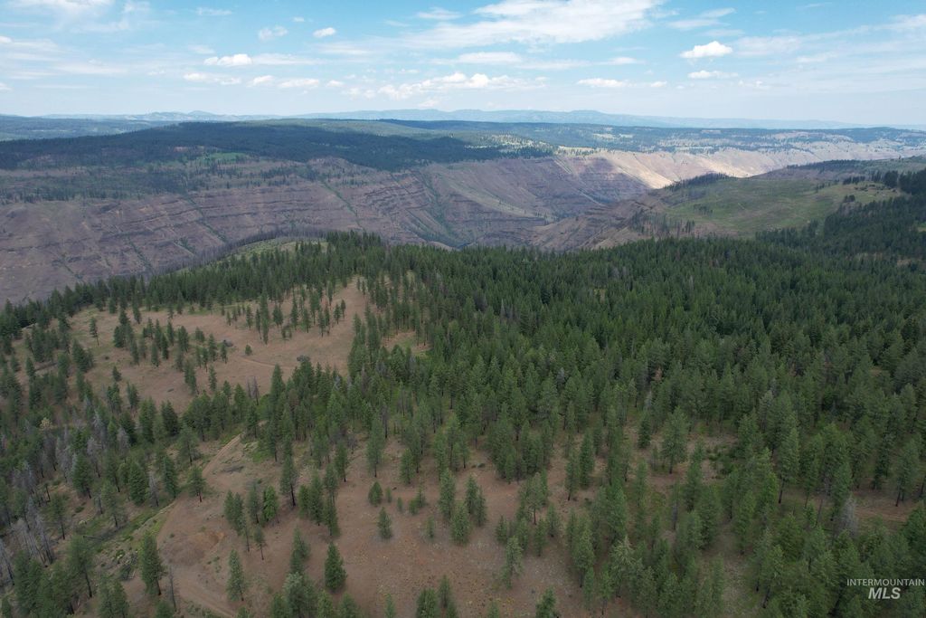 TBD Sickfoot Road, Wallowa, OR 97885 photo 13