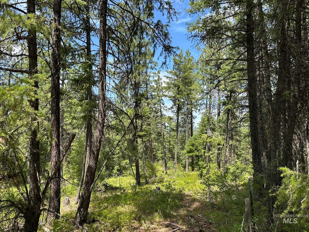 TBD Sickfoot Road, Wallowa, OR 97885 photo 17