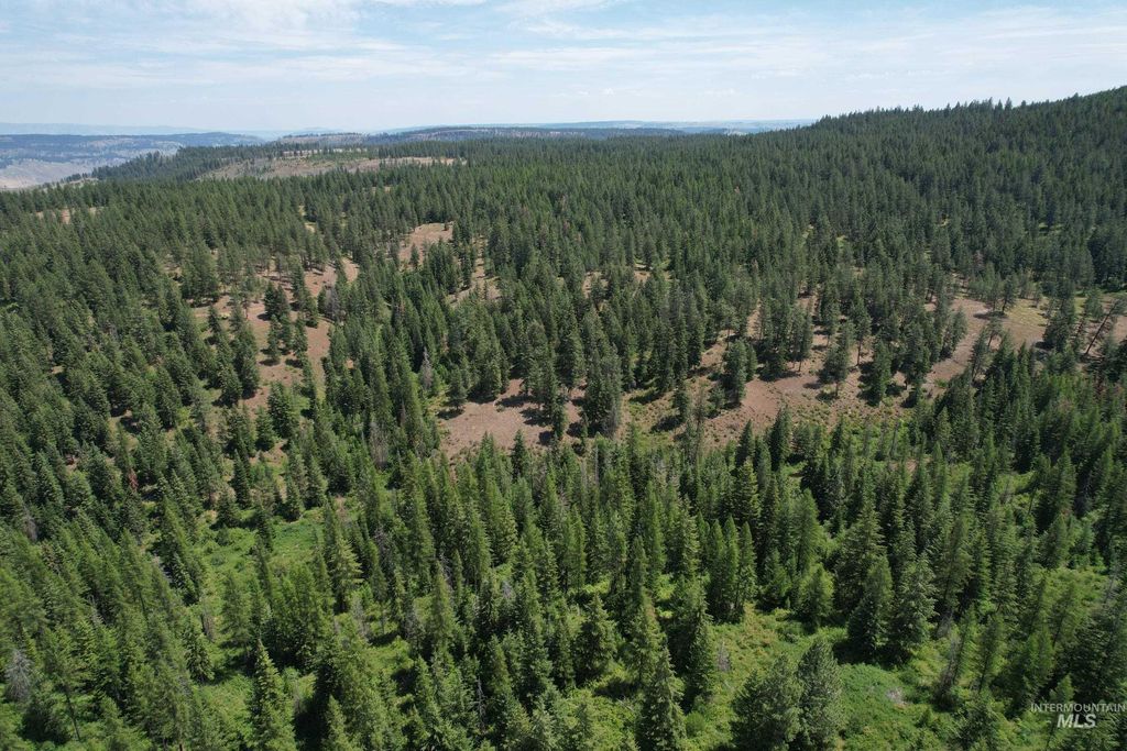 TBD Sickfoot Road, Wallowa, OR 97885 photo 2