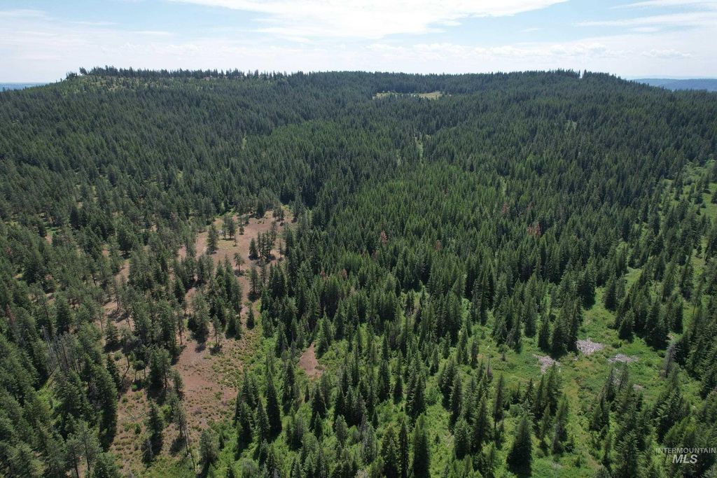 TBD Sickfoot Road, Wallowa, OR 97885 photo 5