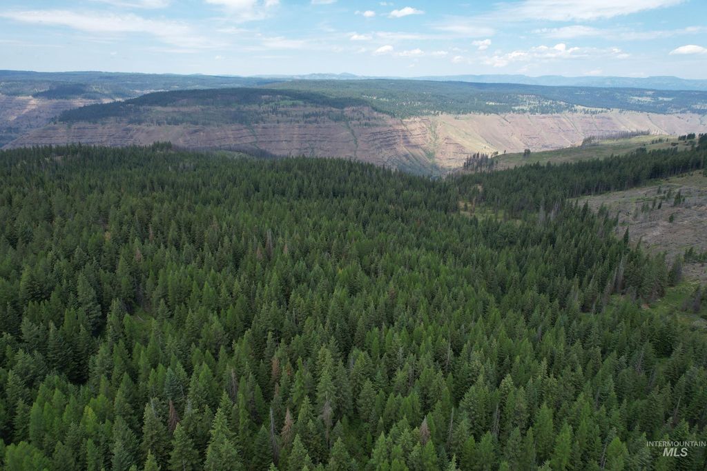 TBD Sickfoot Road, Wallowa, OR 97885 photo 7