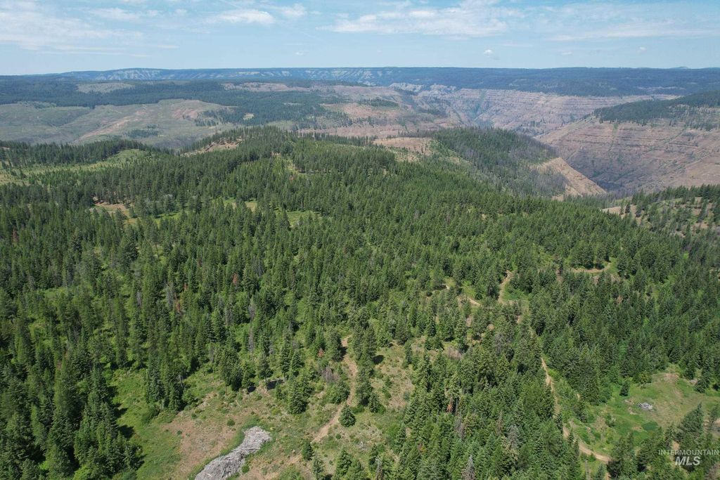 TBD Sickfoot Road, Wallowa, OR 97885 photo 8