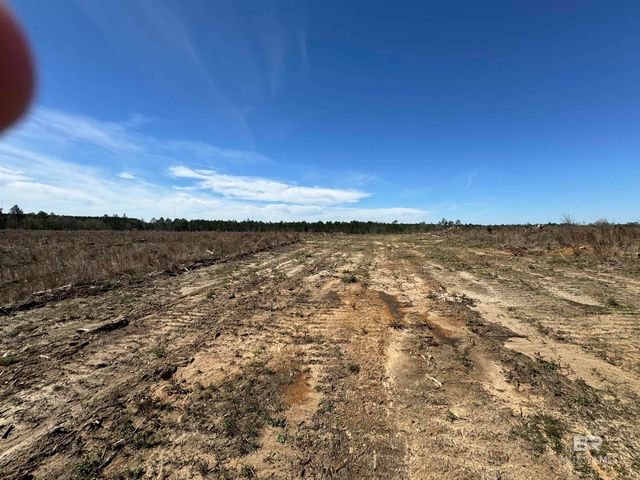 8 County Road 64, Robertsdale, AL 36567