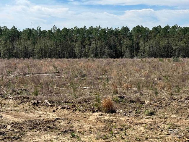 8 County Road 64, Robertsdale, AL 36567