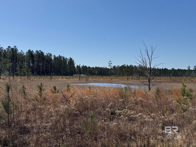 8 County Road 64, Robertsdale, AL 36567