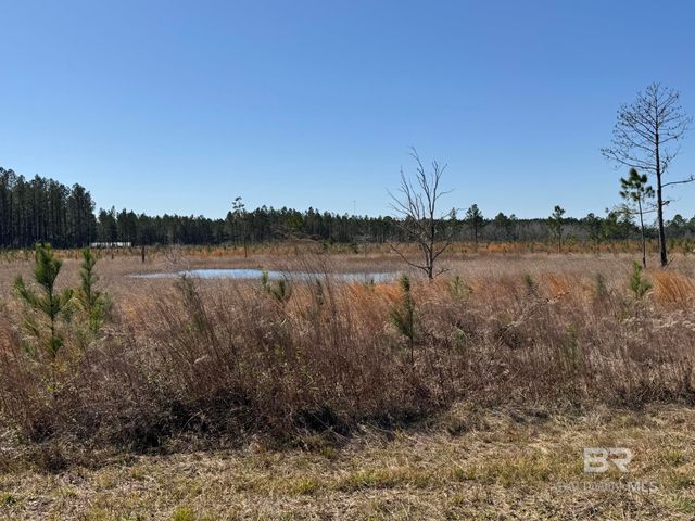 8 County Road 64, Robertsdale, AL 36567