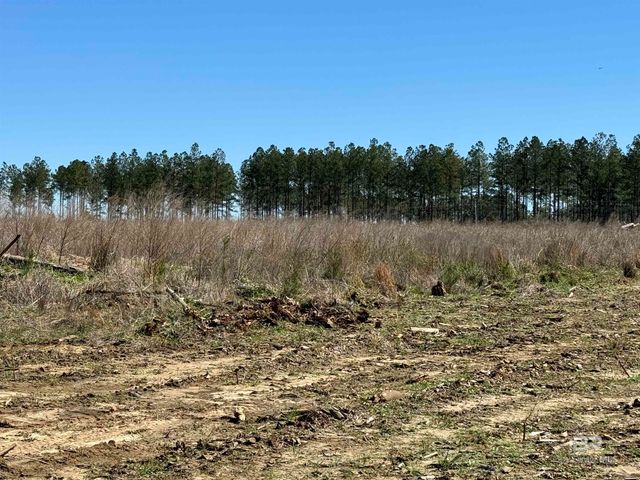 8 County Road 64, Robertsdale, AL 36567