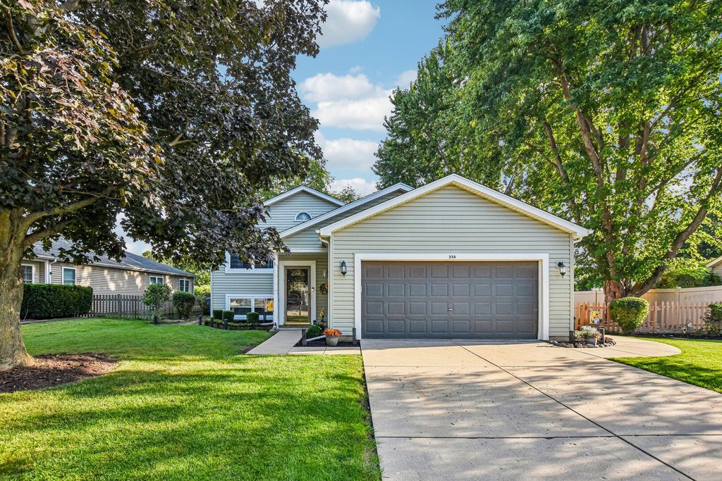 256 Meadows Drive, Sugar Grove, IL 60554