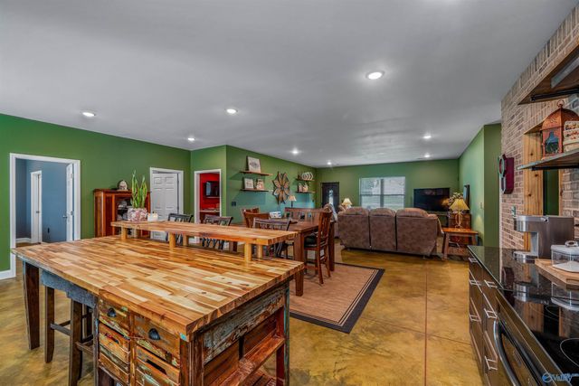 251 Morgan Lane, Section, AL 35771