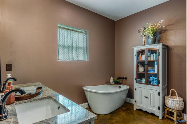 251 Morgan Lane, Section, AL 35771