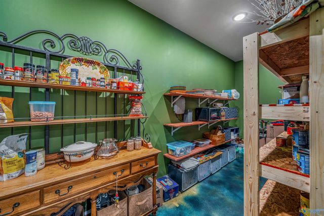 251 Morgan Lane, Section, AL 35771