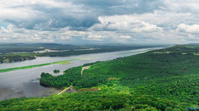 251 Morgan Lane, Section, AL 35771