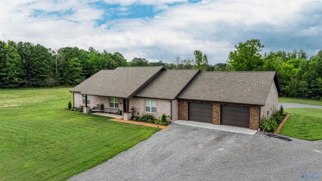 251 Morgan Lane, Section, AL 35771