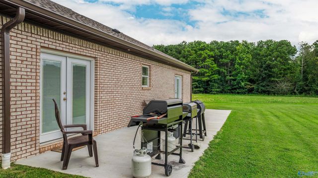 251 Morgan Lane, Section, AL 35771