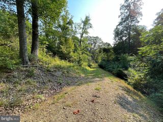 TUPELO LOOP, Springfield, WV 26763
