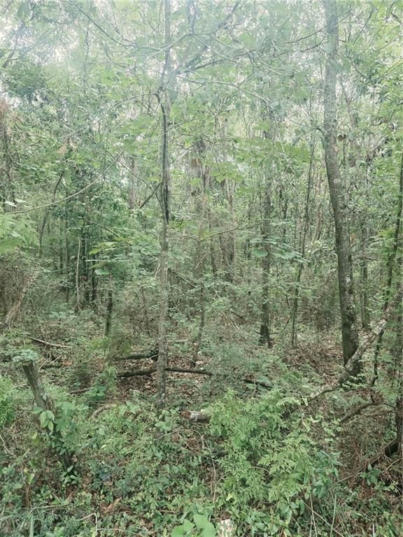 0 Two Mile Road, Irvington, AL 36544 — photo 3