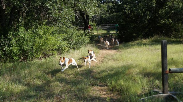 194 Private Road 4663, Boyd, TX 76023