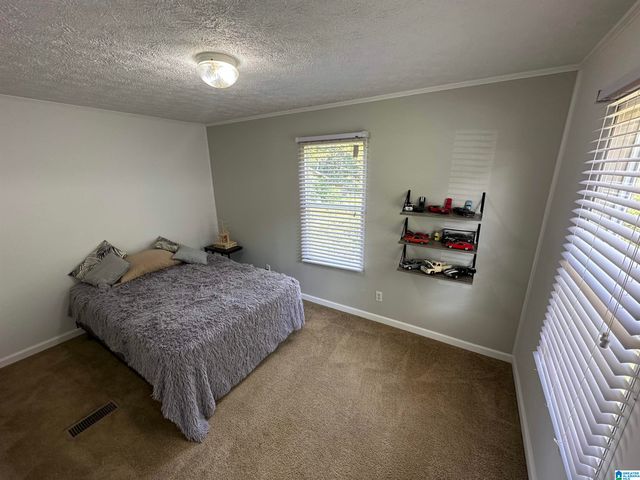 1576 GREEN HILLS ROAD, Ohatchee, AL 36271