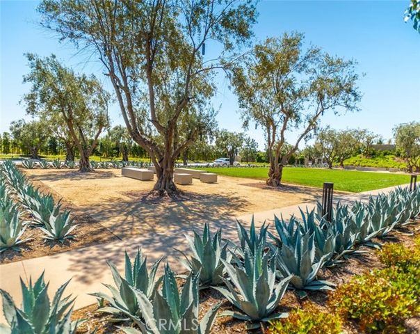 53 Chasma, Irvine, CA 92618