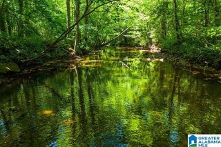 250 ACRES COUNTY ROAD 540, Newell, AL 36280