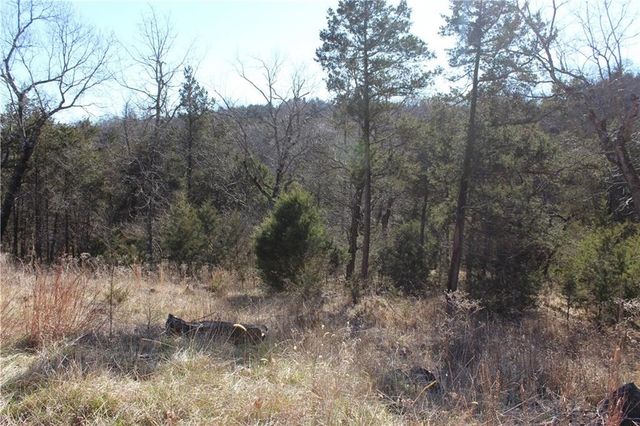 15 Deer Run Drive, Holiday Island, AR 72631