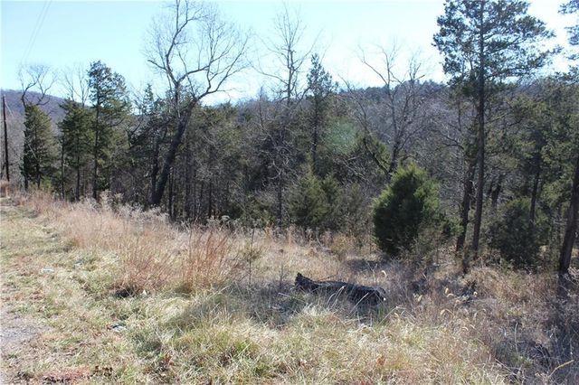 15 Deer Run Drive, Holiday Island, AR 72631