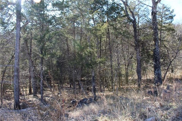15 Deer Run Drive, Holiday Island, AR 72631