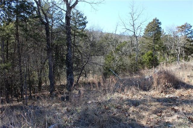 15 Deer Run Drive, Holiday Island, AR 72631
