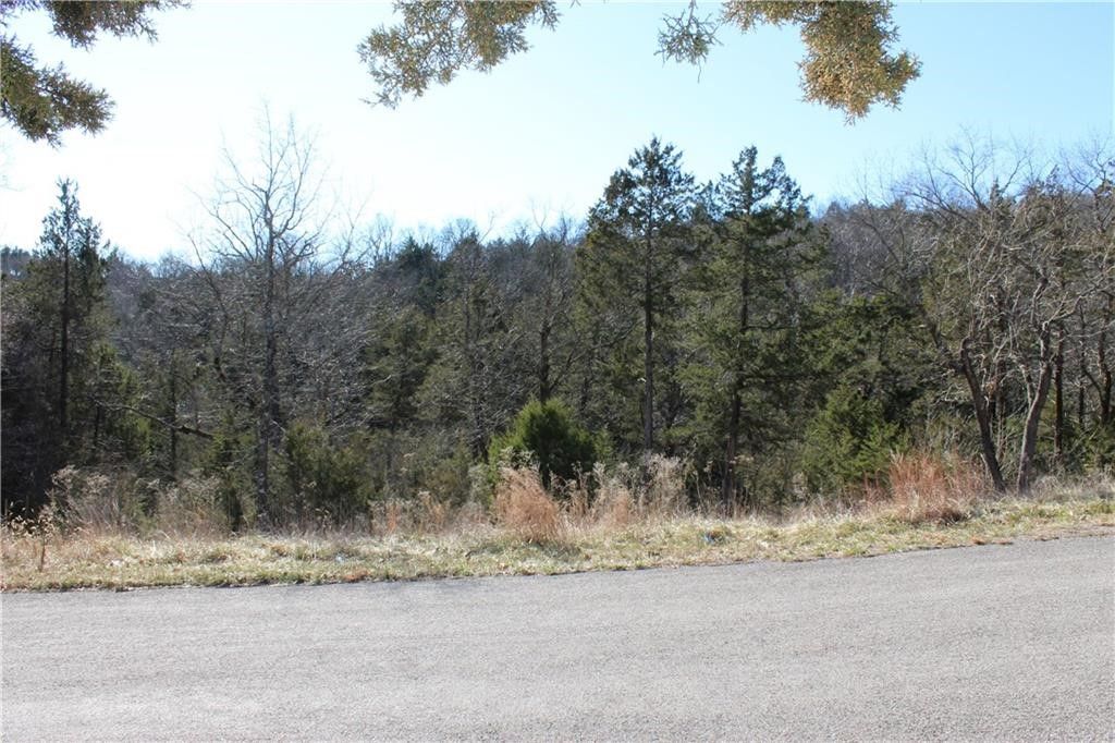 15 Deer Run Drive, Holiday Island, AR 72631