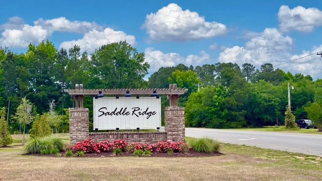 536 Appaloosa Way, Conway, SC 29527