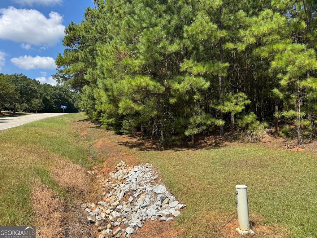 0 Millstone Creek Road, Elberton, GA 30635 — photo 3